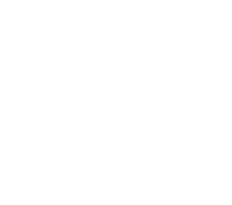 Sree Sai Mineral Industries Logo